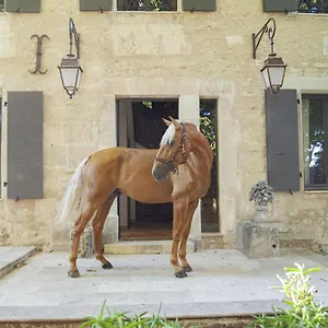 Domaine Cap Rubis , Paradou France
